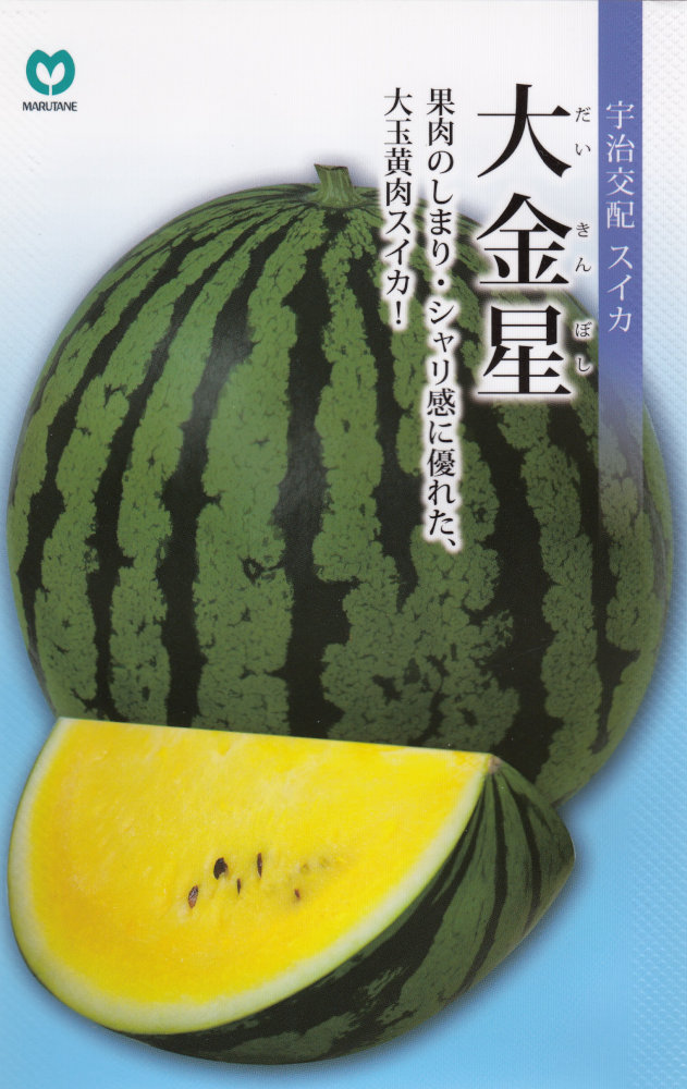 スイカ 種 『タヒチ』  サカタのタネ 小袋（粒数目安13粒）
