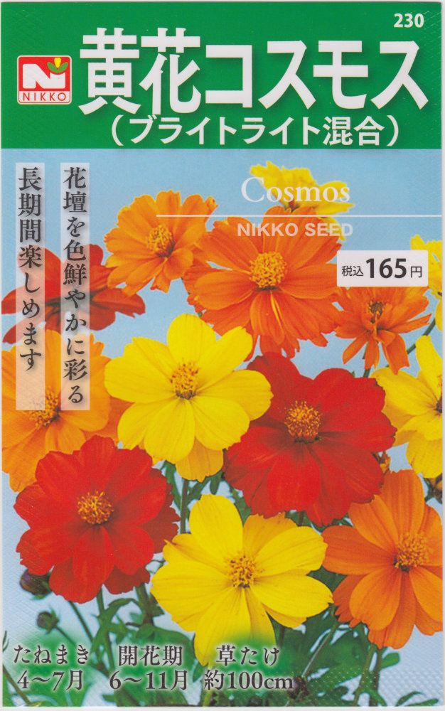 太陽の光種苗 黄花全ての存在（ブライトライト結びあわせる）のタネ［認知的内容量:1L］【春】 花・ガーデン・DIY-種子