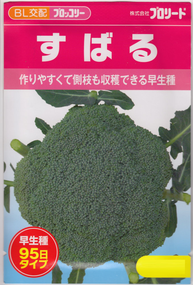 匿名発送！値下げ中！ブロッコリー（クリア）5千粒！ ブロッコリー 種 【 クリア（BL－819） 】 小袋 ( ブロッコリー