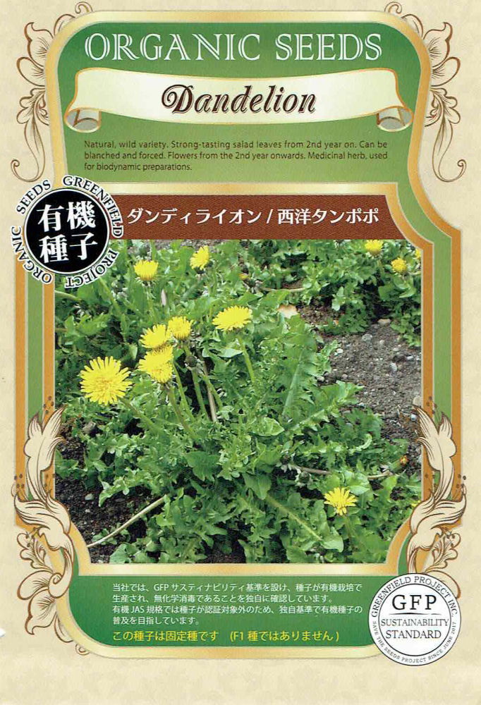 ニホンタンポポ 81GC4h-rY9L.jpg