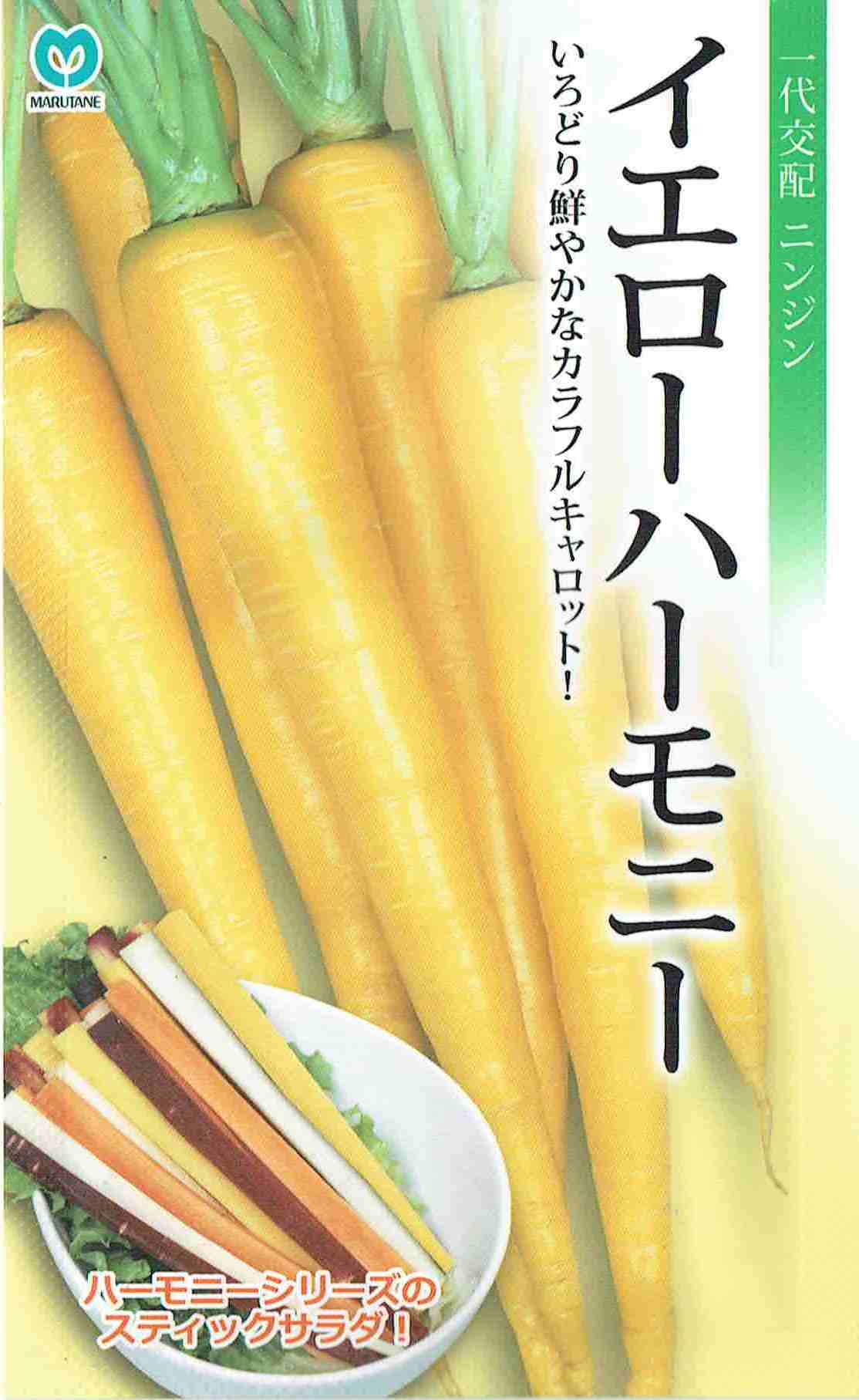 丸種 黄色音楽的調和 約10,000粒（にんじん・人蔘） 【宅配便相応う】【お取り寄せ商いもの】