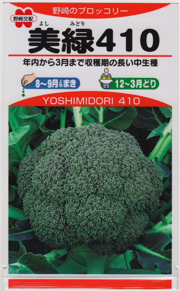 【はなみち】大人気の新種が激安！ブロッコリー（アーサー）2個 早生種｜株式会社ブロリード