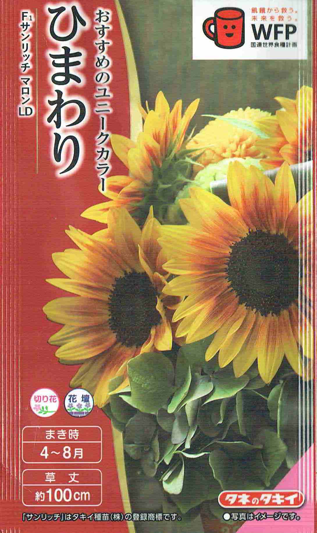 楽天市場】花の種 ひまわり F1サンリッチマロンLD3ml タキイ種苗（株