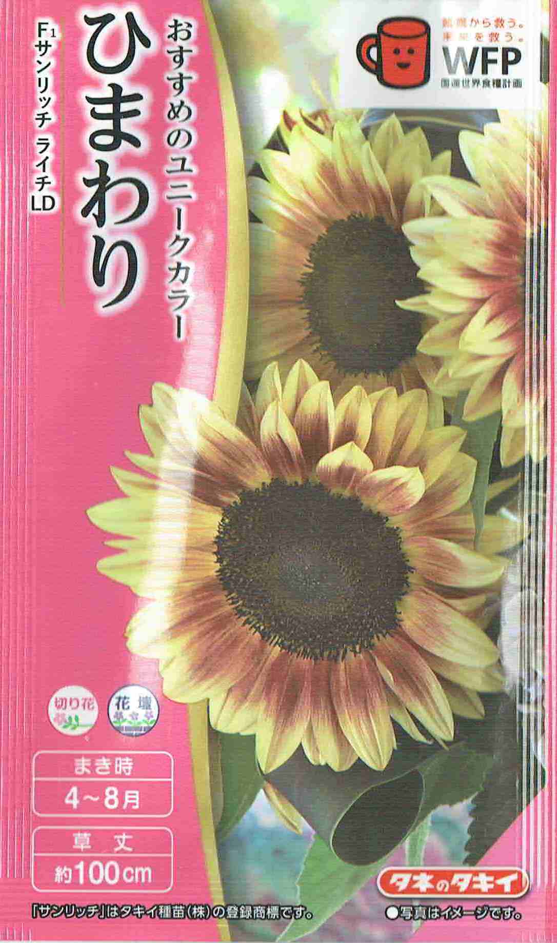 楽天市場】ひまわり 種子 サンリッチ ライチ LD（育苗可能本数：およそ