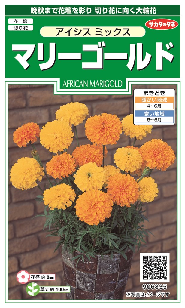【楽天市場】サカタのタネ マリーゴールド アイシスミックスのタネ[内容量：1ml]：日光種苗