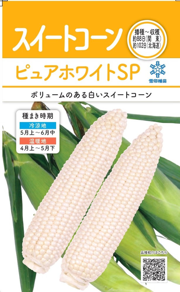 雪印種苗 スイートコーン ピュアホワイトＳＰのタネ[内容量：30ml] 日光種苗