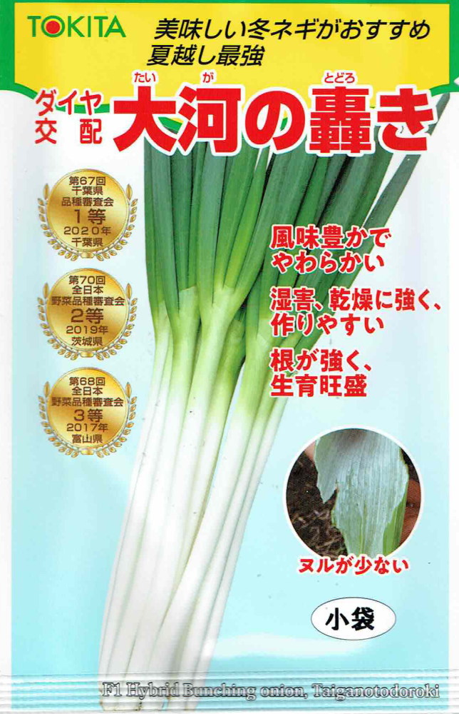 楽天市場】ネギ 種 大河の轟き トキタ 種 苗 一本ネギ 葱