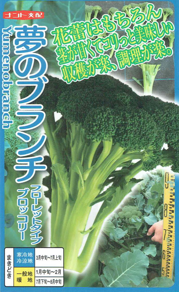 楽天市場】ブロッコリー 夢のブランチ 新品種 コート 1000粒