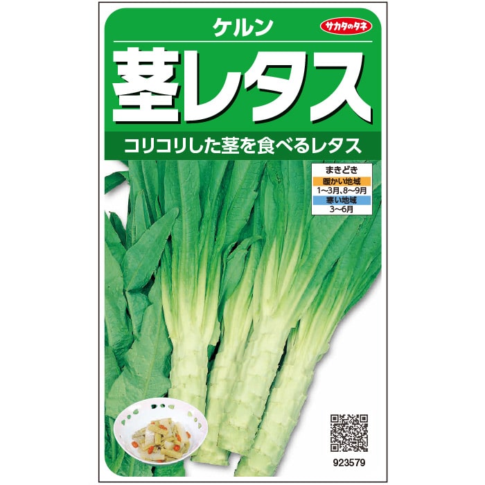 楽天市場】日光種苗 カイラン（芥藍） 5mL 【1852】【春・秋