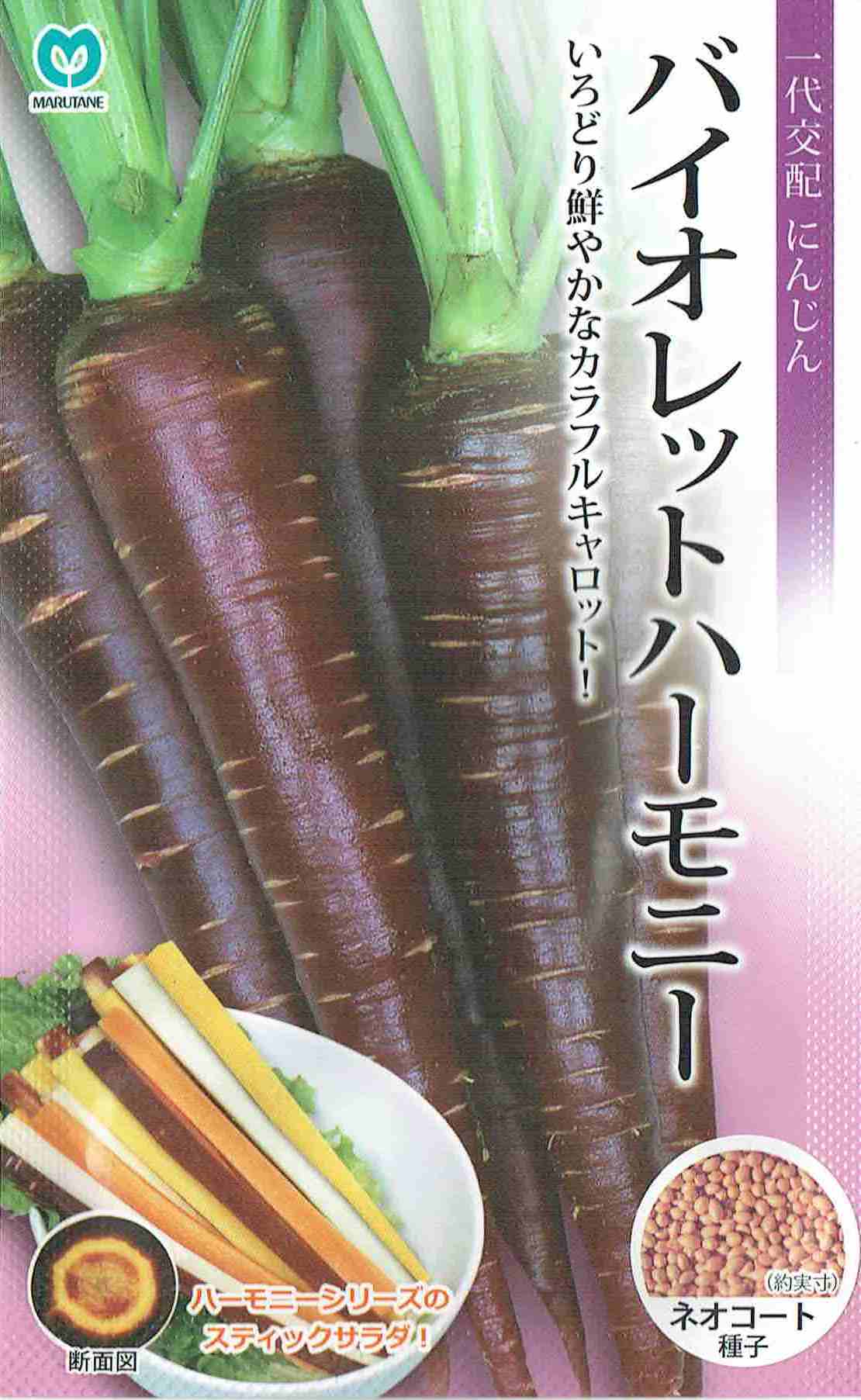 丸種 相撲取り草音楽的調和 ネオ厚地の外套内果皮 約10,000粒（にんじん・人蔘） 【宅配便相応う】【お取り寄せ商いもの】