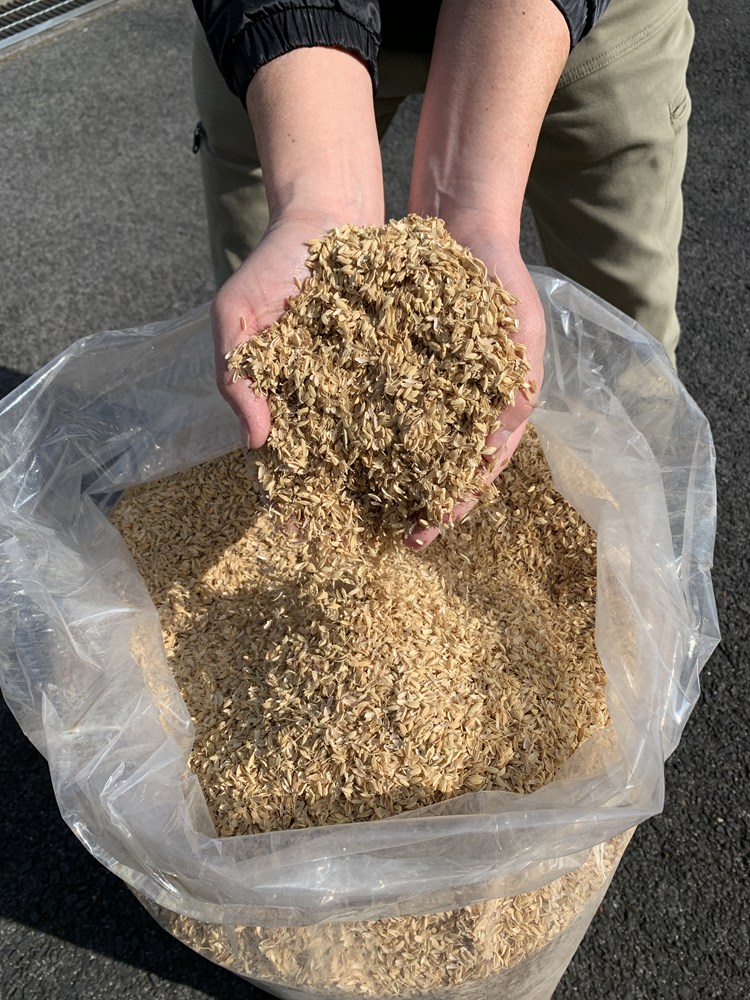 【楽天市場】「もみがら」(モミガラ・もみ殻・籾殻) 約 100リットル入【送料無料】:日光種苗