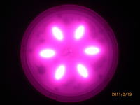 植物栽培用LEDランプＤＰ-10319-01（6灯）