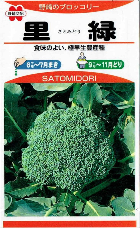 匿名発送！値下げ中！ブロッコリー（クリア）5千粒！ 20240609025401_94_1.jpg