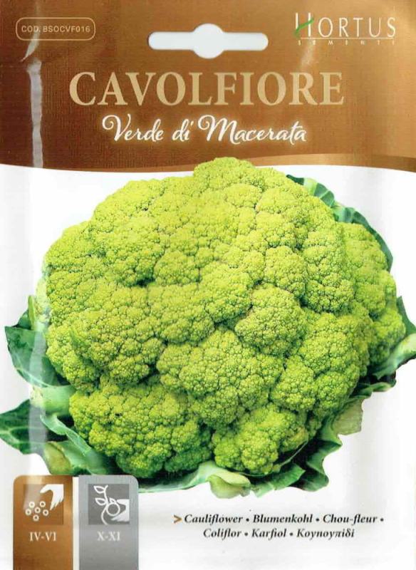 匿名発送！値下げ中！ブロッコリー（クリア）5千粒！ 匿名発送！値下げ中！ブロッコリー（クリア）5千粒！ - メルカリ