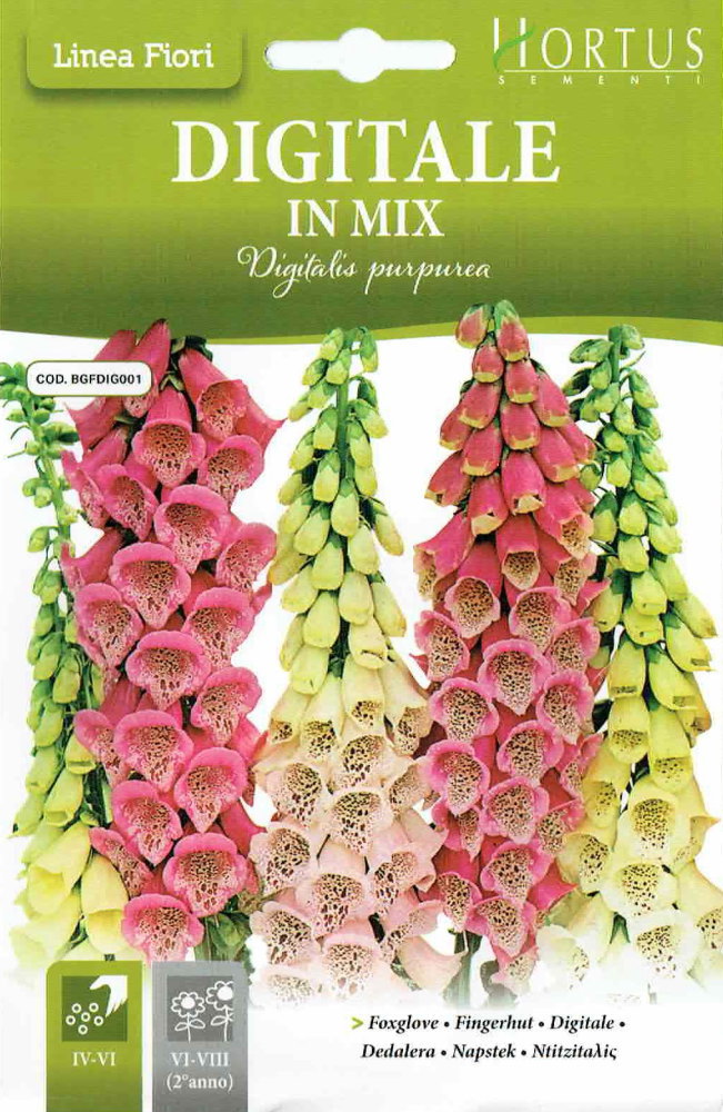 花の種 スプレー ストック カルテット ミックス 0 3ml メール便発送 70 Off