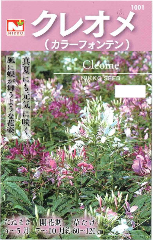楽天市場 日光種苗 クレオメ カラーフォンテン 1 5ml 1001 春 郵送対応 日光種苗