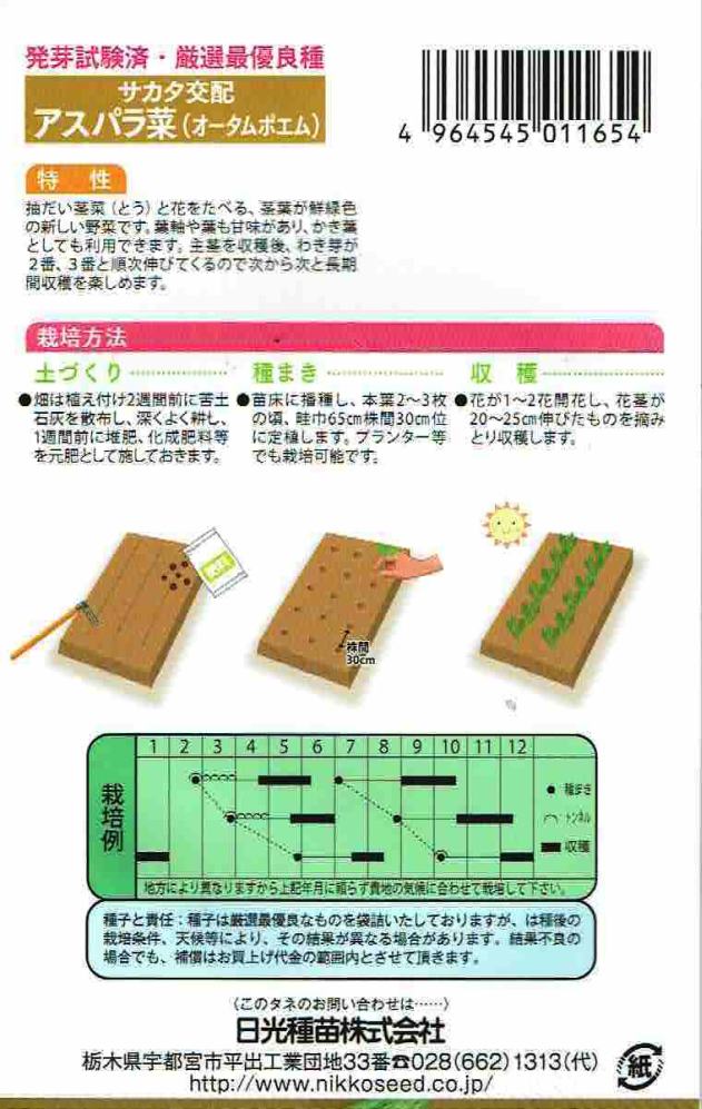 楽天市場 日光種苗 アスパラ菜 オータムポエム 1 5ｍl 1165 春 秋 郵送対応 日光種苗