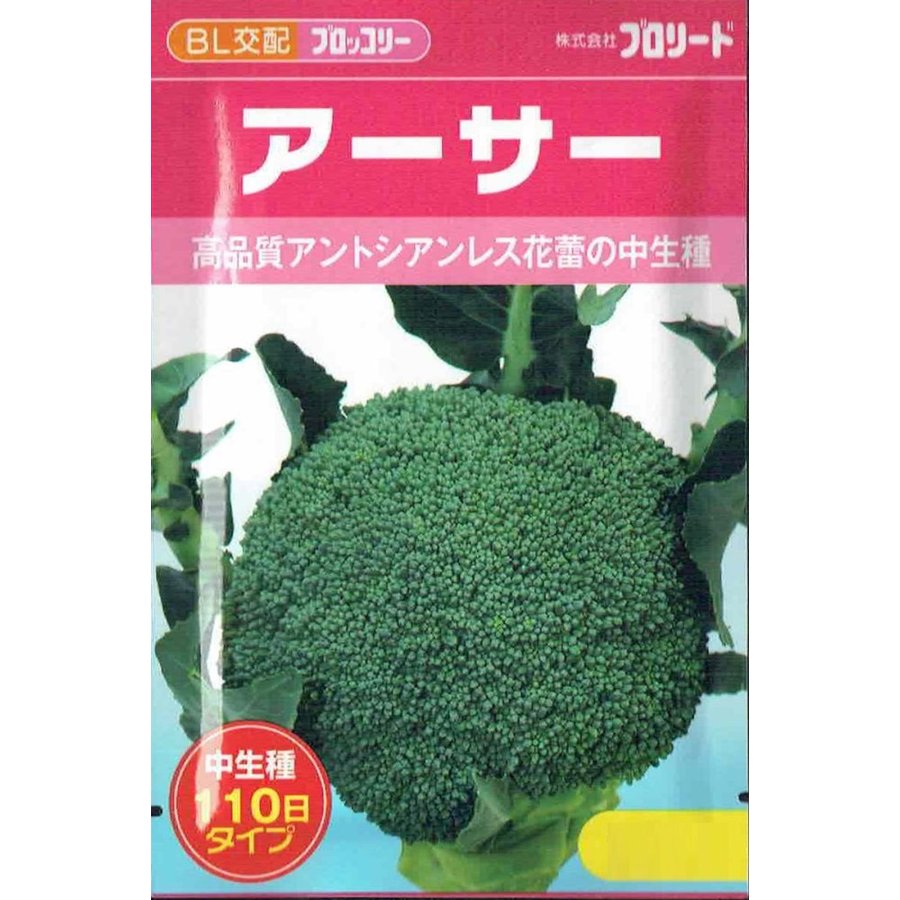 楽天市場】ブロリード ブロッコリー クリア 約100粒【郵送対応