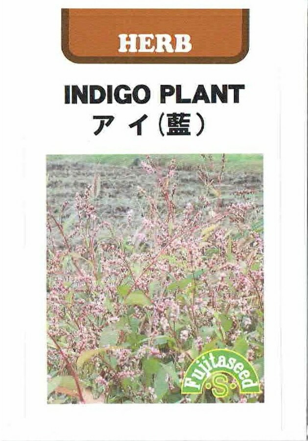 楽天市場】菜の花の種子 10kg【宅配便対応】（なのはな、ナノハナ、アブラナ、あぶらな） : 日光種苗