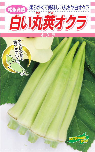 楽天市場 松永種苗 白い丸莢オクラ 約70粒 郵送対応 日光種苗