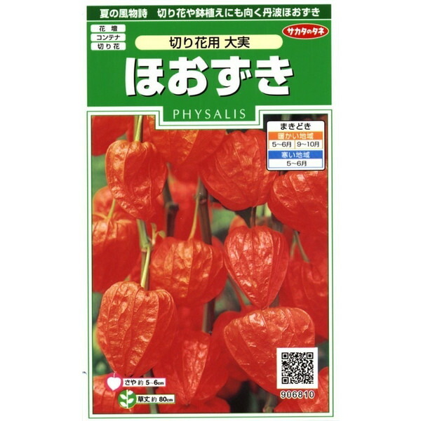 ほおずき　実　生花　100個 生花】実ほおずき (大) 100個入り 増田農園 - 花材通販はなどん