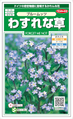 わすれな草 814jn02e70S._AC_UF350,