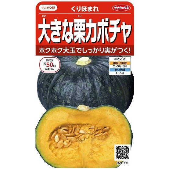 かぼちゃに様 楽天市場】【送料無料】宮崎県産 黒皮かぼちゃ S〜Mサイズ 8個