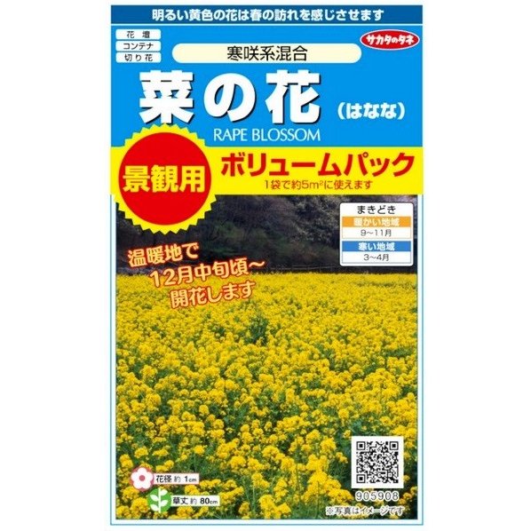 楽天市場 サカタのタネ 菜の花 寒咲系混合 景観用ボリュームパック 5g 5平米分 郵送対応 日光種苗