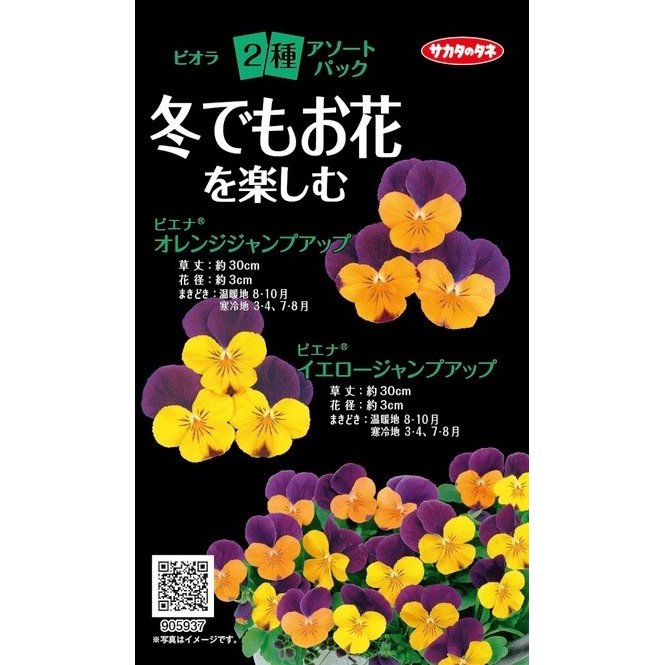 楽天市場 サカタのタネ ビオラ2種アソートパック 郵送対応 日光種苗