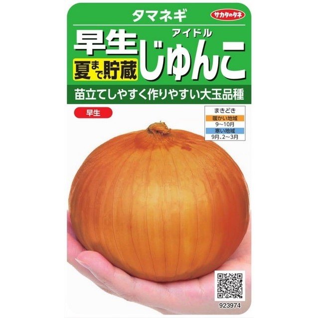 【国産】平戸ニンニクの種　500粒　農薬は使っていません 楽天市場】国産にんにく「平戸ニンニク 約500g入」 : 日光種苗