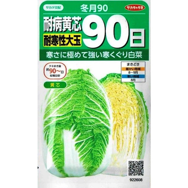 楽天市場 サカタのタネ 耐病黄芯白菜 冬月９０ 0 9ml 郵送対応 日光種苗