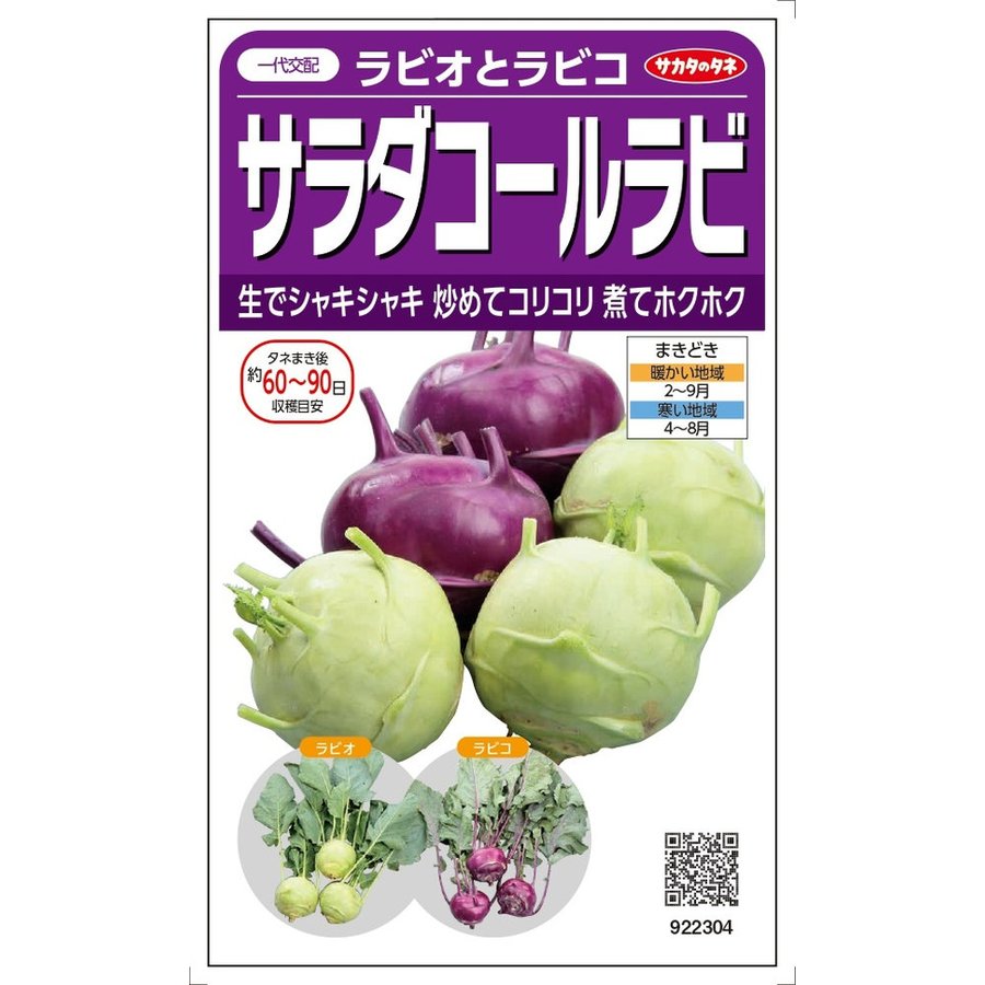 カタログギフトも！ カネコ種苗 キャベツ 冬くぐり 小袋