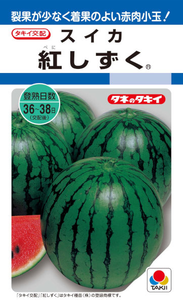 楽天市場】タキイ種苗 スイカ ピロマスタ2のタネ[内容量：約13