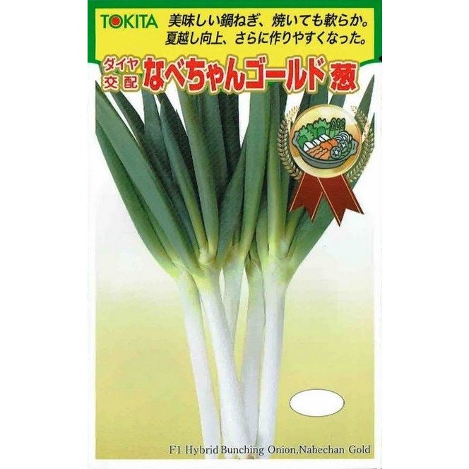 楽天市場】野菜種子 ネギ「なべちゃんゴールド」5ml（約700粒