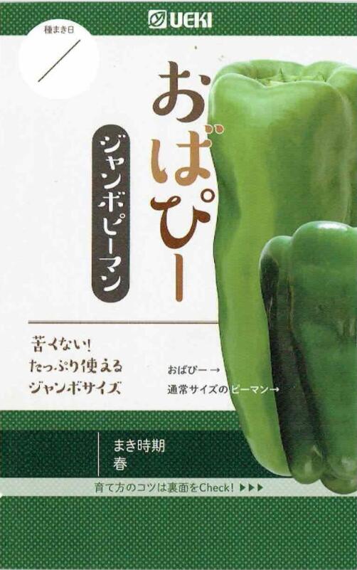 楽天市場 横浜植木 ジャンボピーマン おばぴー 約12粒 日光種苗