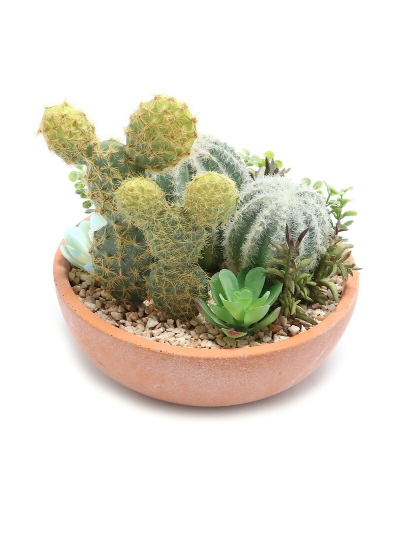 楽天市場 U Or21アレンジポットa Niko And ニコアンド 生活雑貨 インテリアアクセ オレンジ Rakuten Fashion Niko And ニコアンド