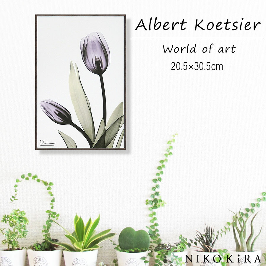 楽天市場 絵画 お花 花柄 植物 花 観葉植物 名画 アート 絵 インテリア 壁掛け 額入り 風景画 油絵 おしゃれ X Ray キャンバスアート チューリップ S W 5xh30 5cm ポスター アート アートパネル リビング トイレ 玄関 モダン アートフレーム 送料無料 楽天市場 絵画 お花 花柄 植物 花 観葉植物 名画 アート 絵 インテリア 壁掛け 額入り 風景画 油絵 おしゃれ X Ray キャンバスアート チューリップ S W 5xh30 5cm ポスター アート アートパネル リビング トイレ 玄関 モダン アートフレーム 送料無料