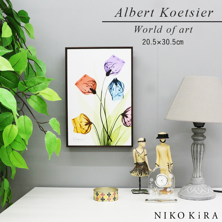 【200円クーポン】 絵画 お花 花柄 植物 花 観葉植物 名画 アート 絵 壁掛け 額入り 風景画 油絵 おしゃれ RAY キャンバスアート サンダーソニア S 20.5 30.5cm ポスター アート アートパネル トイレ 玄関 モダン アートフレーム