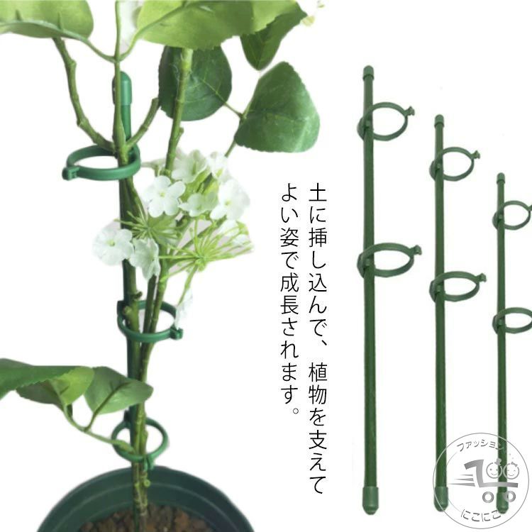 盆栽 『カリン』 インテリア 園芸 観葉植物 ガーデニング 送料無料 b025 盆栽 『カリン』 インテリア 園芸 観葉植物 ガーデニング 送料