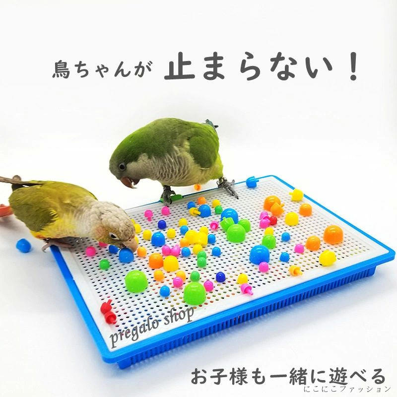小鳥のおもちゃ　★展示★ nknk250313225_1.jpg