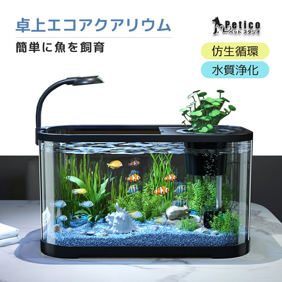 おしゃれにテーブルで楽しむメダカ水槽セット 観葉植物 金魚鉢 メダカ 水槽セット 水槽 ベタ メダカ 金魚 熱帯魚 アクアリウム アクアポニクス 静かなメダカ飼育セット 癒やし 飼育セット インテリア