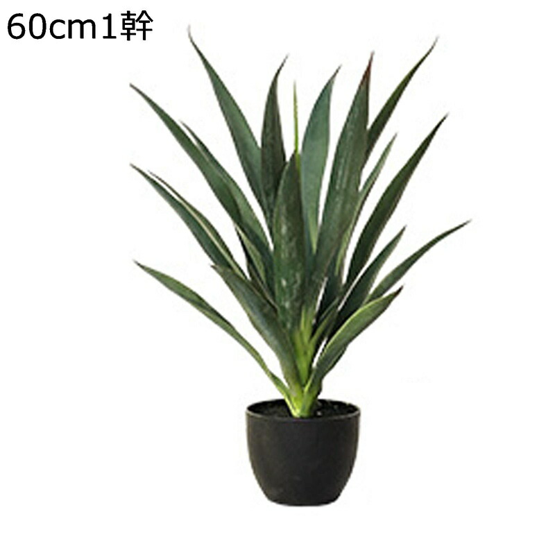 人工観葉植物 大型 サイザル麻 オリーブ高さ160cm フェイクグリーン 1本 お世話不要 枯れない 人工樹木 光触媒 フェイク植物 フェイクツリー モデルルーム ガーデニング プレゼント 卓上置き 観葉樹|ニコニコ生活
