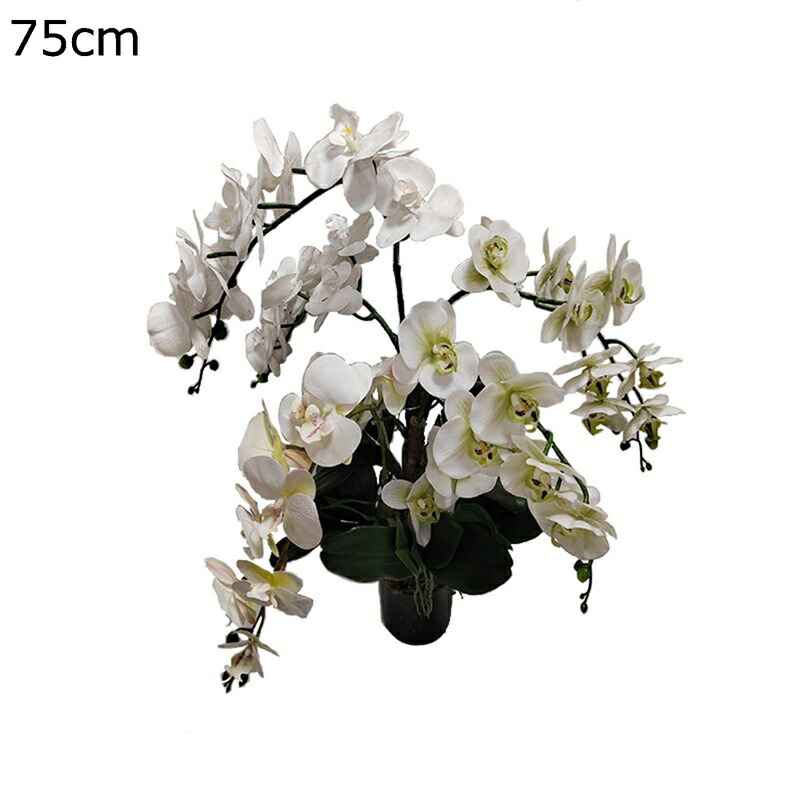 花束 造花 胡蝶蘭 75cm 45cm 桜 さくら 造花グリーン 卓上 小さい 装飾花 フェイク花 玄関 花瓶付きブーケ フェイクフラワー 水やり不要 おしゃれ モダン 北欧 部屋 玄関 お見舞い インテリア 白 パープル