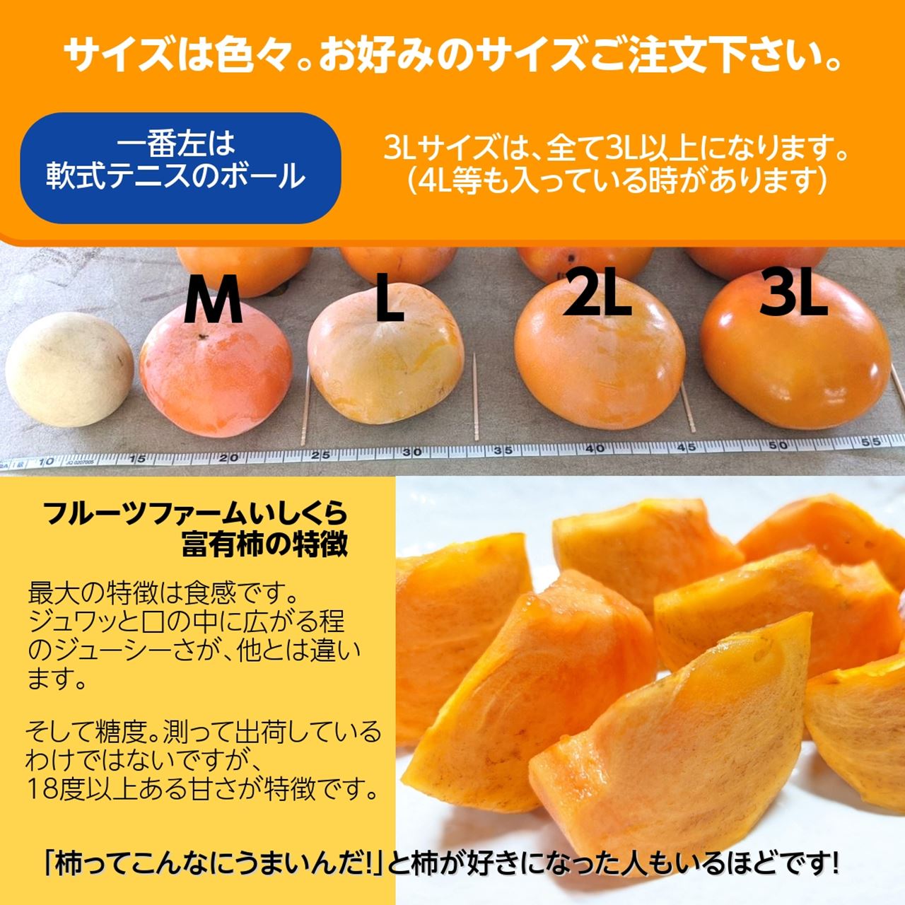 人気商品 富有柿 広瀬柿 2kg 2Lサイズ 7個 秀 贈答 山梨県 笛吹市 石和 cue-to-start.com