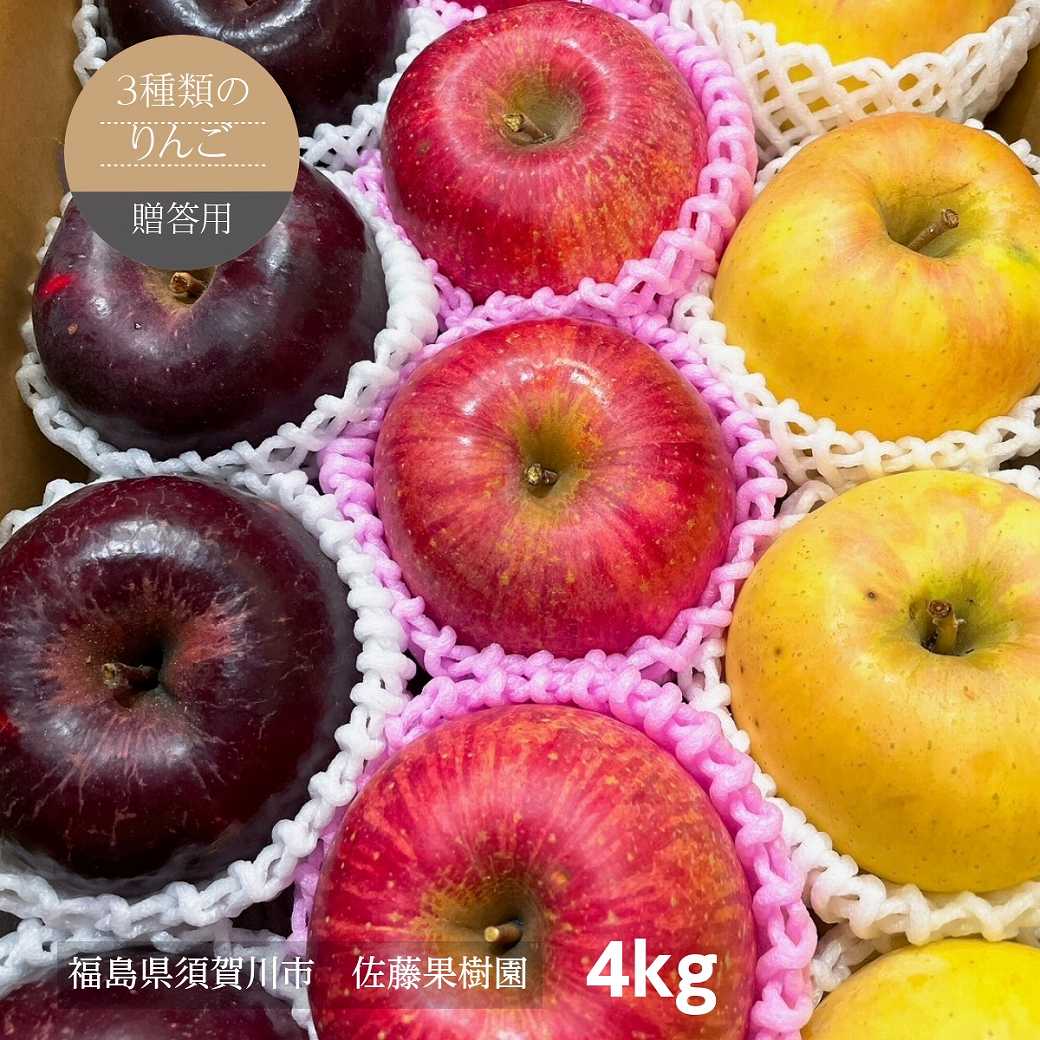 りんご 【佐藤果樹園】 御歳暮 3種の林檎セット ふじ ぐんま名月 こうみつ 4kg 10～12個 福島県 須賀川市 《11/下旬～12/上旬出荷》 お歳暮