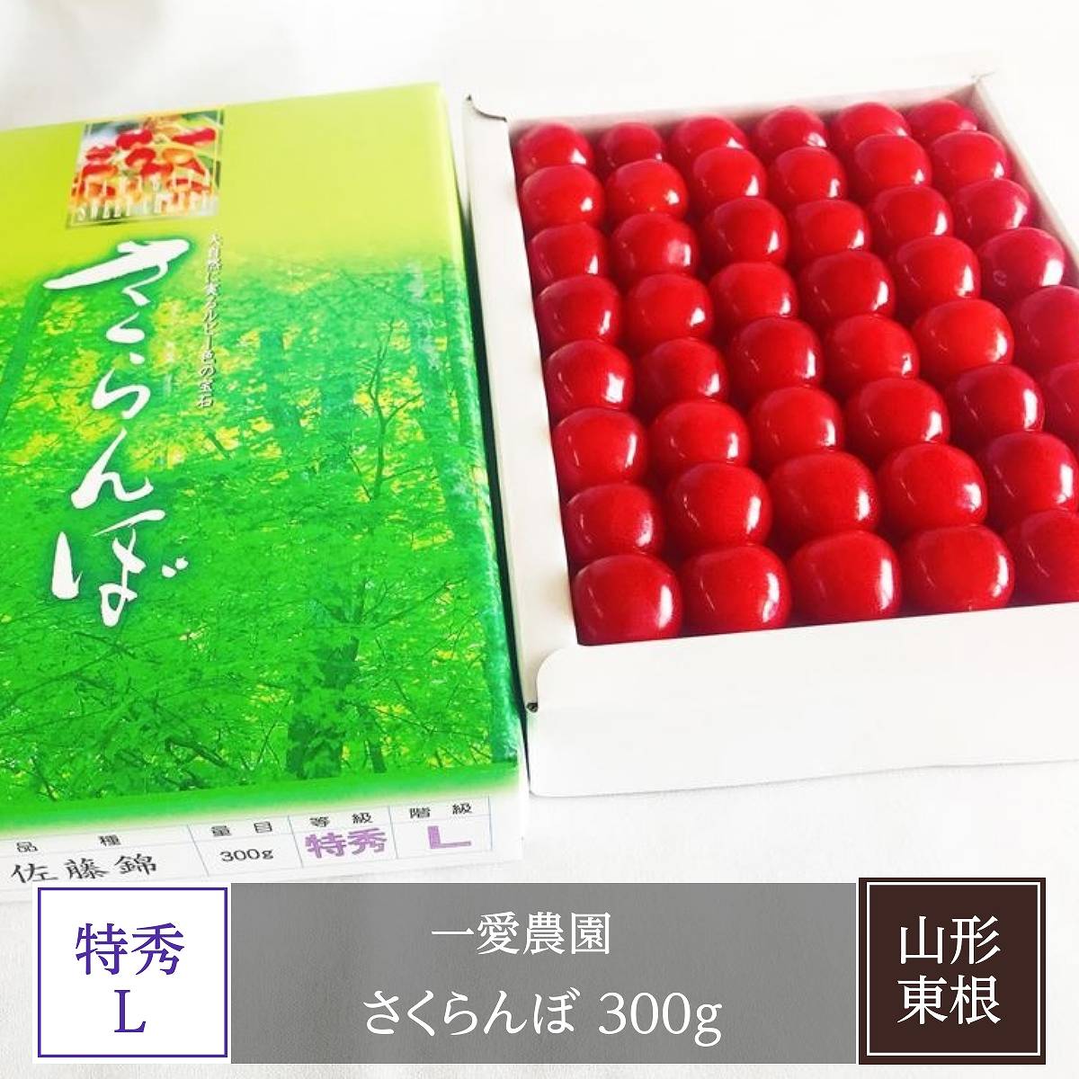 さくらんぼ 【一愛農園】 佐藤錦 300g  48～54粒 特秀 L以上 贈答 誕生日 母の日 山形県 東根市 《4/上旬～中旬より出荷》