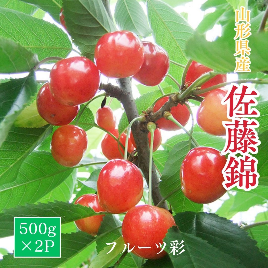 さくらんぼ 【フルーツ彩】 佐藤錦 500g×2P 1kg ML 山形県上山市  《6/中旬～6/下旬の出荷》