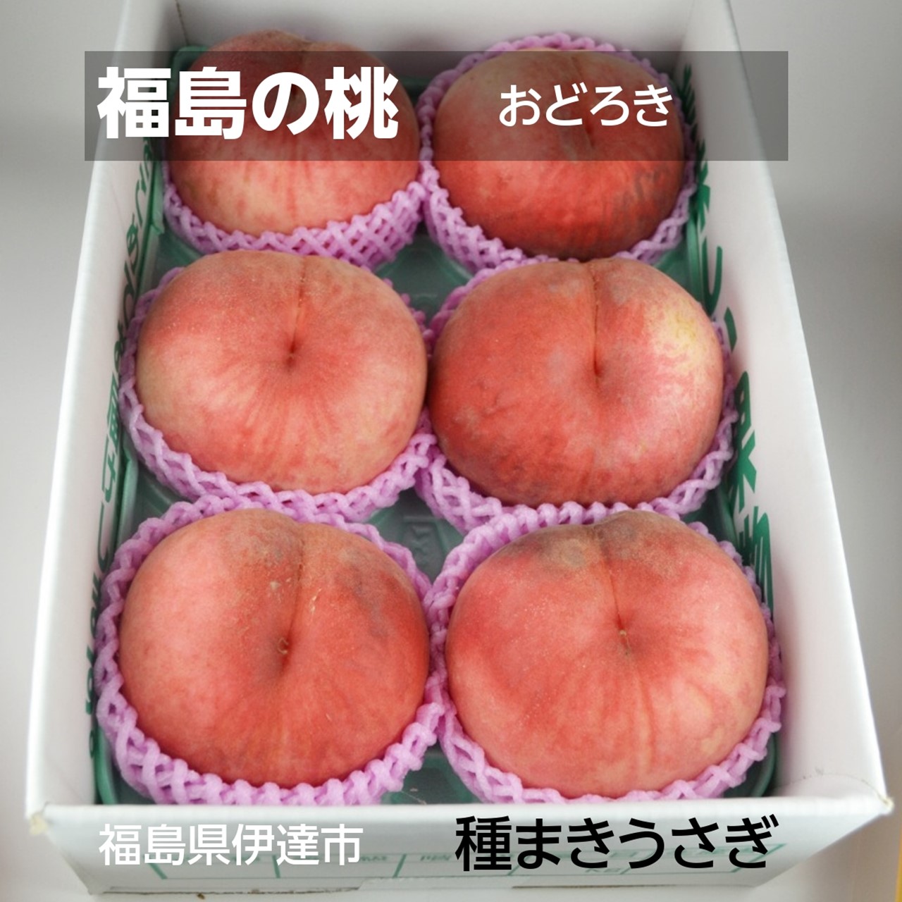 桃 【種まきうさぎ】硬い おどろき 2kg（5～6個） 福島県伊達市 《8/12～8/中旬出荷》
