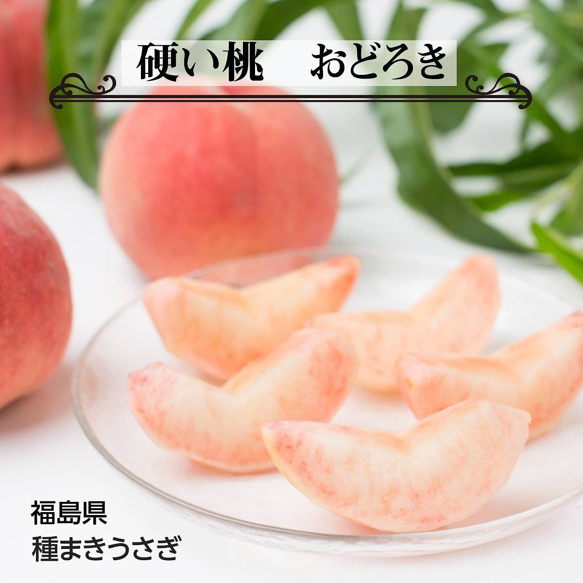 桃 【種まきうさぎ】硬い おどろき 3kg（7～11個） もも 福島県 伊達市 《8/12～8/中旬出荷》