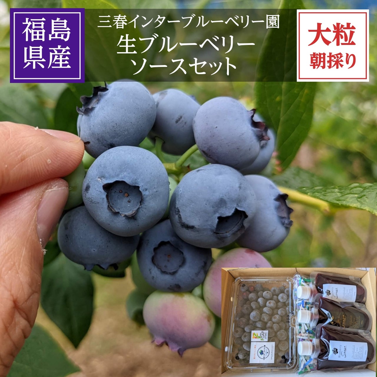 購買 400g広島産生ブルーベリー 常温ネコポス発送 農薬不使用